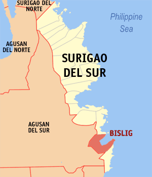 Mapa sa Surigao del Sur nga nagpakita sa nahimutangan sa Dakbayan sa Bislig