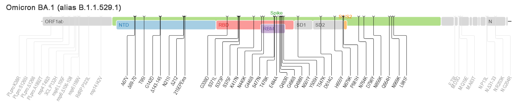 Genomic sequence