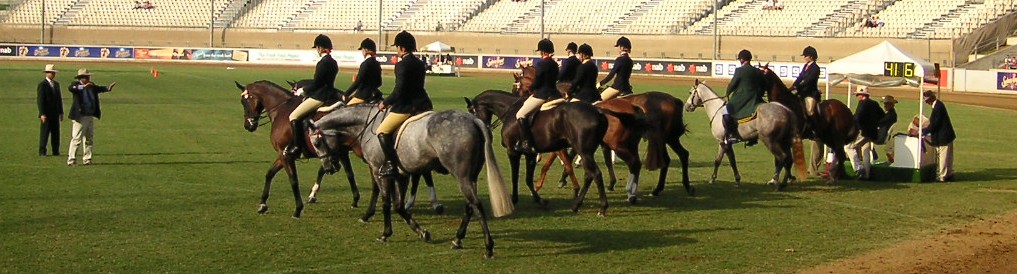 Lining up for the judging