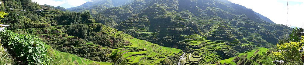 Ginamit ng mga Ifugao/Igorot ang Hagdan-hagdang Palayan ng Banawe upang magtanim ng mga pananim sa matarik na bulubunduking bahagi ng Hilagang Pilipinas.