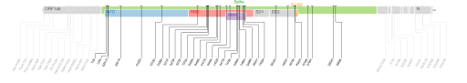 Les mutations du variant Omicron sur une carte génomique du SARS-CoV-2