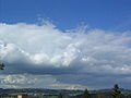 Stratocumulus cumulogenitus