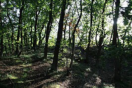 Eikenhakhoutstoven aan de Kruisberg