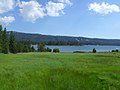 Image 10A wet meadow adjacent to Big Bear Lake, San Bernardino Mountains, California (from Marsh)