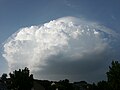 Pileus 27. Juli 2005 19.37 Uhr