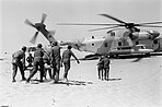 CH-53D Sea Stallion Yas'ur of 118 Squadron "Night Riders" from Tel Nof during the Yom Kippur War 1973