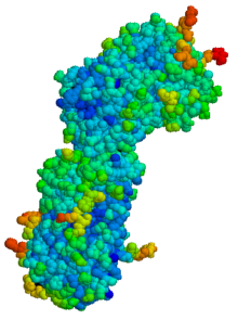 Description de l'image Antithrombin.png.