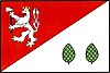 Bandeira de Havlíčkova Borová