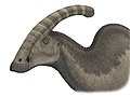 Parasaurolophus