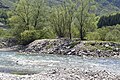 Šavnik river