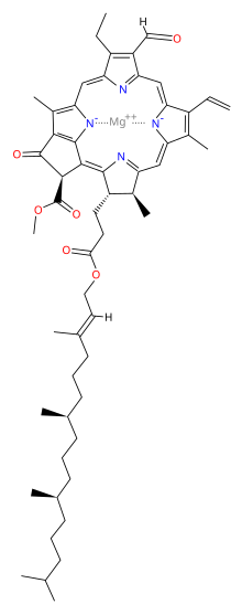 Structure of β-Chlorophyll