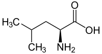 Structuurformule van L-leucine