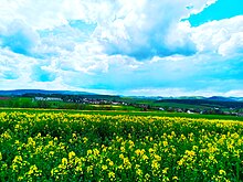 Blick auf Niederasphe.jpg