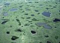 Image 24Aerial view of prairie potholes (from Marsh)