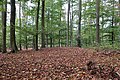 Hügelgrab im Waldgebiet Werdringen/Kaisberg