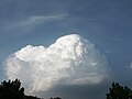 Pileus 27. Juli 2005 19.41 Uhr