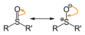 Sulfoxidens resonans.