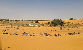 Maïné-Soroa (Niger)