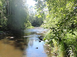 Rivier de Jaara bij Kiikoinen