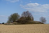 Tumulus van Blehen