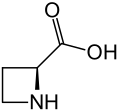 azetidine-2-carboxylic acid