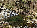 登山道脇の瀬場谷