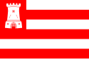 Flagget til Alkmaar