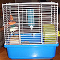 Hamster cage with wheel and water bottle