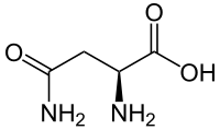 Rumus rangka L-asparagin