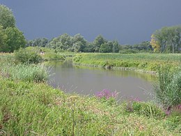 wetterrin yn 'e Biisbosk