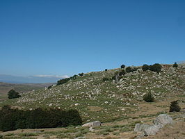 Mont Lozère