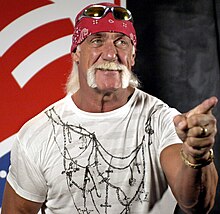 Hulk Hogan.jpg