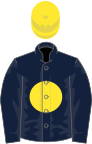 Dark blue, yellow disc, yellow cap