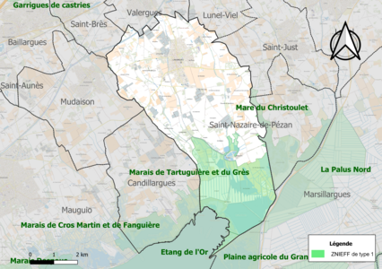 Carte des ZNIEFF de type 1 sur la commune.