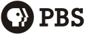 PBS logo from 1984 to 2019, as seen in 2002