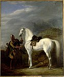 ولنیم الان دی 1843ء دی چرکسی جنگجو دی اک مورت Adyghe warrior by Sir