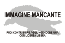 Immagine di Brochuchus pigotti mancante