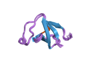 2ggr: Solution structure of the C-terminal SH3 domain of c-CrkII