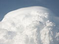 Pileus 27. Juli 2005 19.41 Uhr