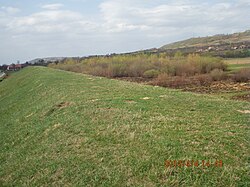 Skyline of Попешти