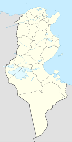 Tozeur is located in Tunisia