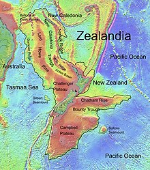 Zealandia, topographic map.jpg