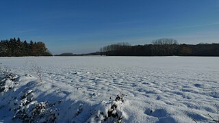 Le Boischaut Nord hivernal en 2010.