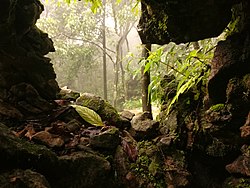 चेरापुंजी, पूर्वोत्तर भारत का सर्वाधिक प्रसिद्ध पर्यटक आकर्षण, मेघालय में स्थित है एवं एक कैलेण्डर वर्ष में विश्व की सर्वाधिक वर्षा का कीर्तिमान धारण करता है।