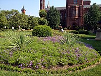 Haupt garden parterre