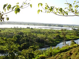 Der Río Cauca bei Caucasia