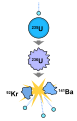 Image 47Induced fission reaction. A neutron is absorbed by a uranium-235 nucleus, turning it briefly into an excited uranium-236 nucleus, with the excitation energy provided by the kinetic energy of the neutron plus the forces that bind the neutron. The uranium-236, in turn, splits into fast-moving lighter elements (fission products) and releases several free neutrons, one or more "prompt gamma rays" (not shown) and a (proportionally) large amount of kinetic energy. (from Nuclear fission)