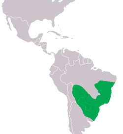 Área de distribución de C. latirostris