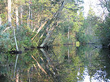 Mullica River