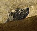 Detalle de Perro semihundido, 1819.